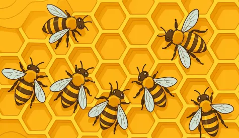 Integração SESMT e CIPA 9 wp-content/uploads/2025/08/DDS-da-abelha.webp